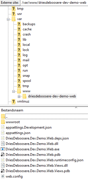 How to deploy ASP.NET Core 3.1 app to Digital Ocean Linux droplet